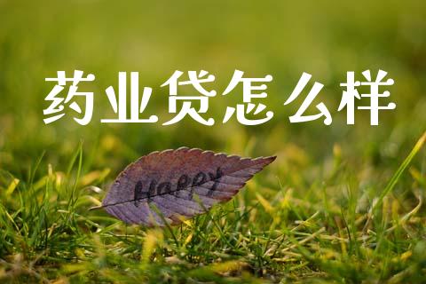 药业贷怎么样_https://m.lcjysmgs.com_金融服务_第1张