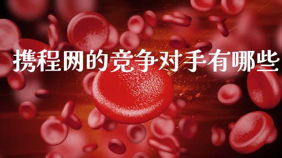 携程网的竞争对手有哪些_https://m.lcjysmgs.com_股权投资_第1张