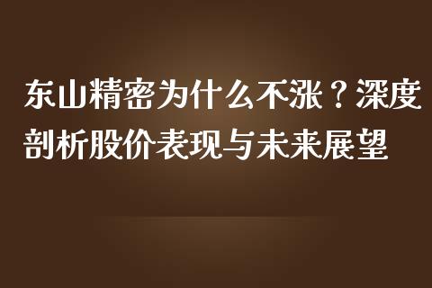 东山精密为什么不涨？深度剖析股价表现与未来展望_https://m.lcjysmgs.com_基金管理_第1张