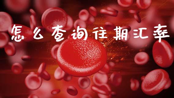 怎么查询往期汇率_https://m.lcjysmgs.com_金融服务_第1张
