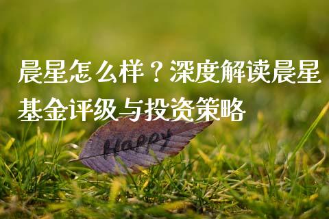 晨星怎么样？深度解读晨星基金评级与投资策略_https://m.lcjysmgs.com_金融服务_第1张