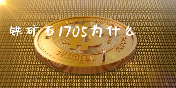 铁矿石1705为什么_https://m.lcjysmgs.com_股权投资_第1张