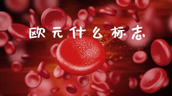 欧元什么标志_https://m.lcjysmgs.com_基金管理_第1张