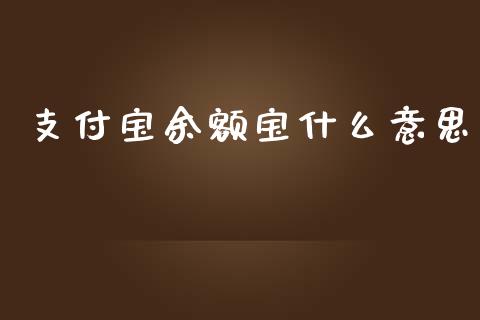 支付宝余额宝什么意思_https://m.lcjysmgs.com_基金管理_第1张