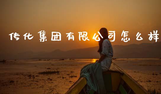 传化集团有限公司怎么样_https://m.lcjysmgs.com_股票交易_第1张