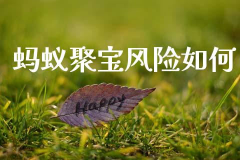 蚂蚁聚宝风险如何_https://m.lcjysmgs.com_股权投资_第1张