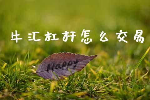 牛汇杠杆怎么交易_https://m.lcjysmgs.com_股权投资_第1张