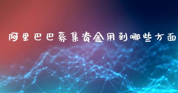 阿里巴巴募集资金用到哪些方面_https://m.lcjysmgs.com_股票交易_第1张