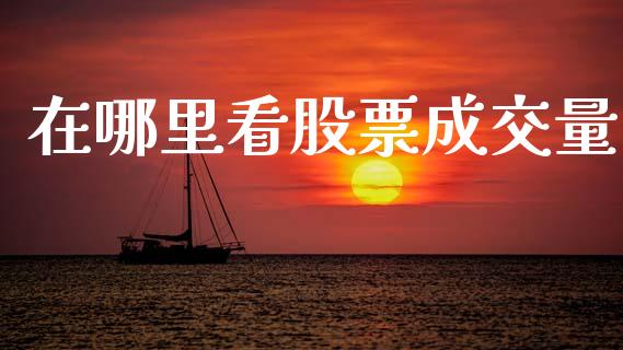 在哪里看股票成交量_https://m.lcjysmgs.com_基金管理_第1张