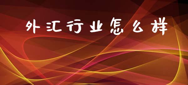 外汇行业怎么样_https://m.lcjysmgs.com_基金管理_第1张