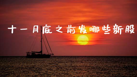 十一月底之前发哪些新股_https://m.lcjysmgs.com_股权投资_第1张