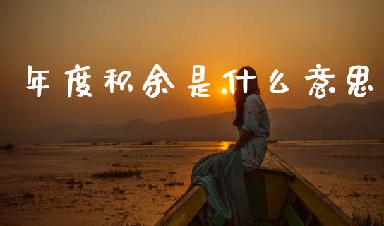 年度积余是什么意思_https://m.lcjysmgs.com_股权投资_第1张