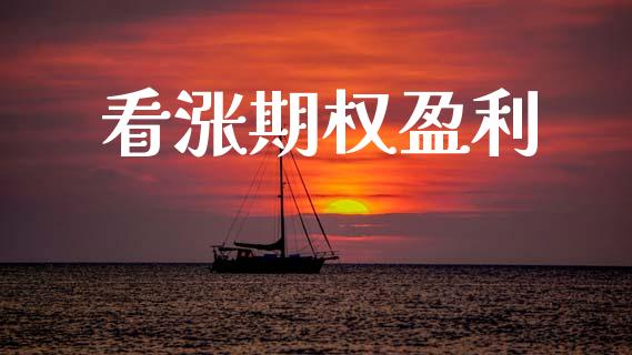 看涨期权盈利_https://m.lcjysmgs.com_股权投资_第1张