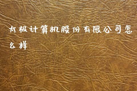 太极计算机股份有限公司怎么样_https://m.lcjysmgs.com_基金管理_第1张