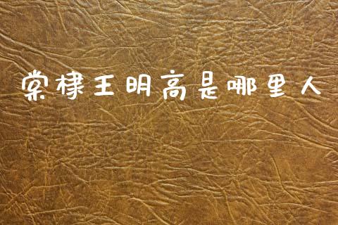 棠棣王明高是哪里人_https://m.lcjysmgs.com_股票交易_第1张