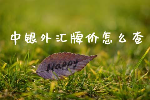 中银外汇牌价怎么查_https://m.lcjysmgs.com_股票交易_第1张