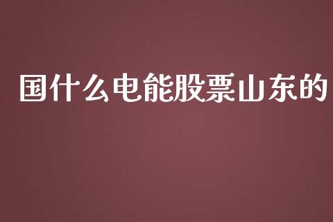国什么电能股票山东的_https://m.lcjysmgs.com_股权投资_第1张