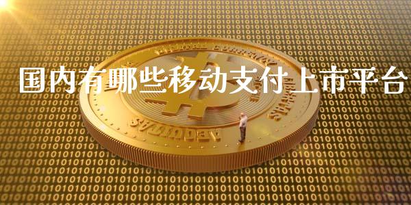 国内有哪些移动支付上市平台_https://m.lcjysmgs.com_股票交易_第1张