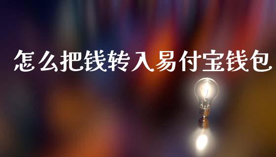怎么把钱转入易付宝钱包_https://m.lcjysmgs.com_基金管理_第1张