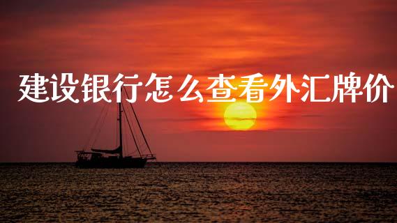 建设银行怎么查看外汇牌价_https://m.lcjysmgs.com_金融服务_第1张