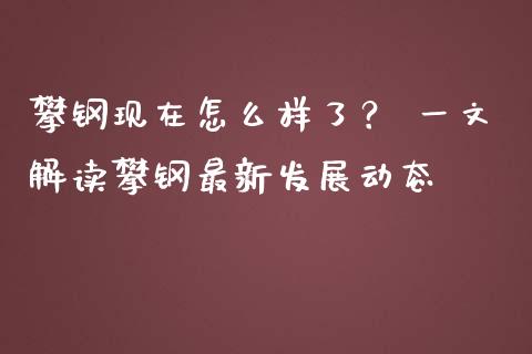攀钢现在怎么样了？ 一文解读攀钢最新发展动态_https://m.lcjysmgs.com_基金管理_第1张