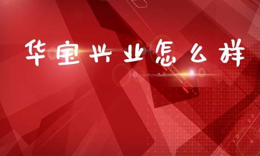 华宝兴业怎么样_https://m.lcjysmgs.com_股权投资_第1张