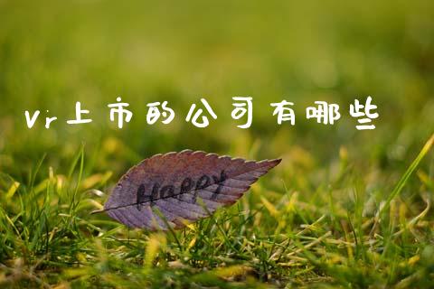 vr上市的公司有哪些_https://m.lcjysmgs.com_基金管理_第1张