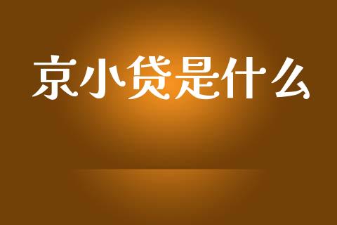 京小贷是什么_https://m.lcjysmgs.com_基金管理_第1张