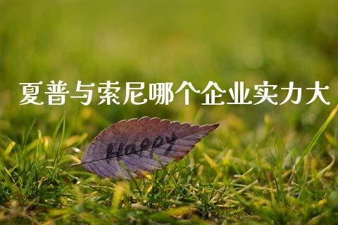 夏普与索尼哪个企业实力大_https://m.lcjysmgs.com_金融服务_第1张