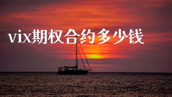 vix期权合约多少钱_https://m.lcjysmgs.com_股权投资_第1张