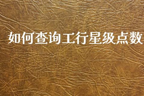 如何查询工行星级点数_https://m.lcjysmgs.com_金融服务_第1张