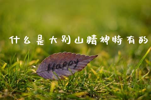 什么是大别山精神特有的_https://m.lcjysmgs.com_金融服务_第1张