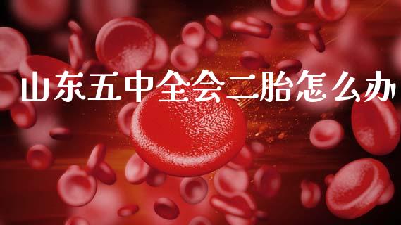 山东五中全会二胎怎么办_https://m.lcjysmgs.com_基金管理_第1张