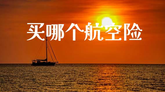买哪个航空险_https://m.lcjysmgs.com_股权投资_第1张