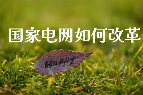 国家电网如何改革_https://m.lcjysmgs.com_股权投资_第1张