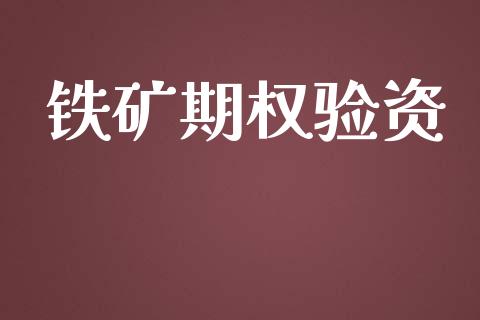 铁矿期权验资_https://m.lcjysmgs.com_金融服务_第1张