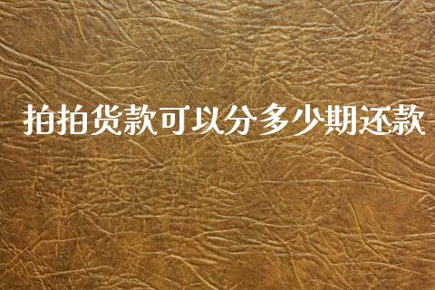拍拍货款可以分多少期还款_https://m.lcjysmgs.com_基金管理_第1张
