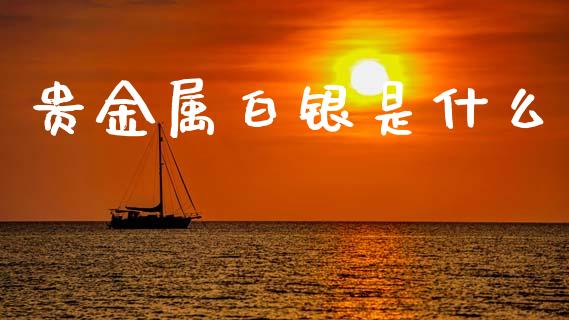 贵金属白银是什么_https://m.lcjysmgs.com_股票交易_第1张
