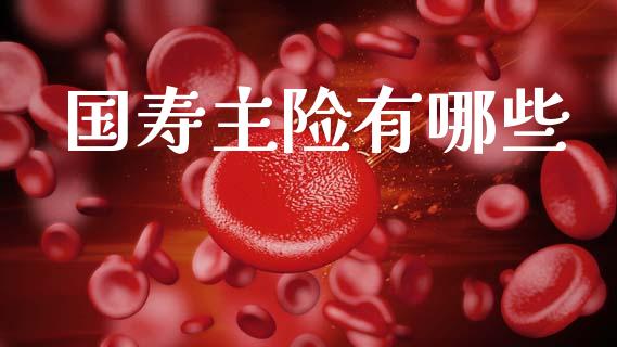 国寿主险有哪些_https://m.lcjysmgs.com_股票交易_第1张