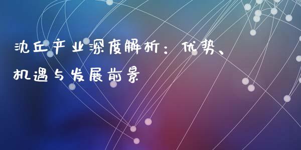 沈丘产业深度解析：优势、机遇与发展前景_https://m.lcjysmgs.com_股权投资_第1张