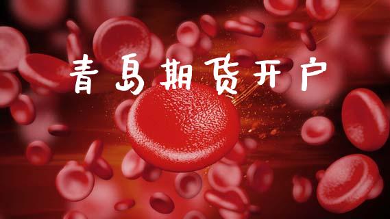 青岛期货开户_https://m.lcjysmgs.com_金融服务_第1张