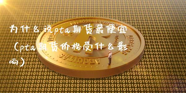 为什么说pta期货最便宜（pta期货价格受什么影响）_https://m.lcjysmgs.com_股权投资_第1张