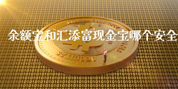余额宝和汇添富现金宝哪个安全_https://m.lcjysmgs.com_股票交易_第1张