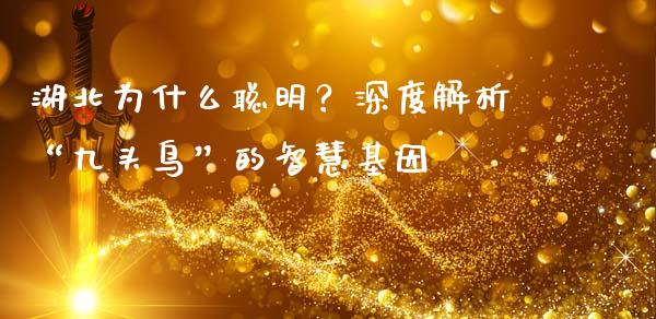 湖北为什么聪明？深度解析“九头鸟”的智慧基因_https://m.lcjysmgs.com_股权投资_第1张