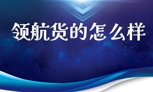 领航货的怎么样_https://m.lcjysmgs.com_股权投资_第1张