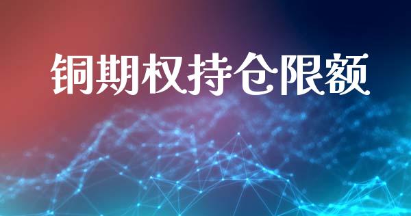 铜期权持仓限额_https://m.lcjysmgs.com_金融服务_第1张