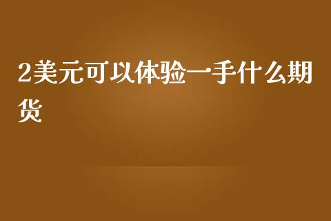 2美元可以体验一手什么期货_https://m.lcjysmgs.com_基金管理_第1张