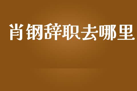 肖钢辞职去哪里_https://m.lcjysmgs.com_基金管理_第1张