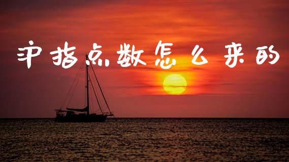 沪指点数怎么来的_https://m.lcjysmgs.com_金融服务_第1张