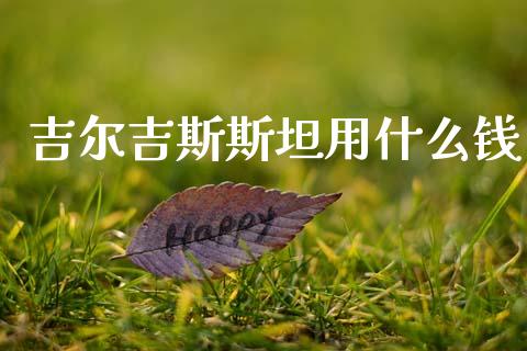 吉尔吉斯斯坦用什么钱_https://m.lcjysmgs.com_金融服务_第1张